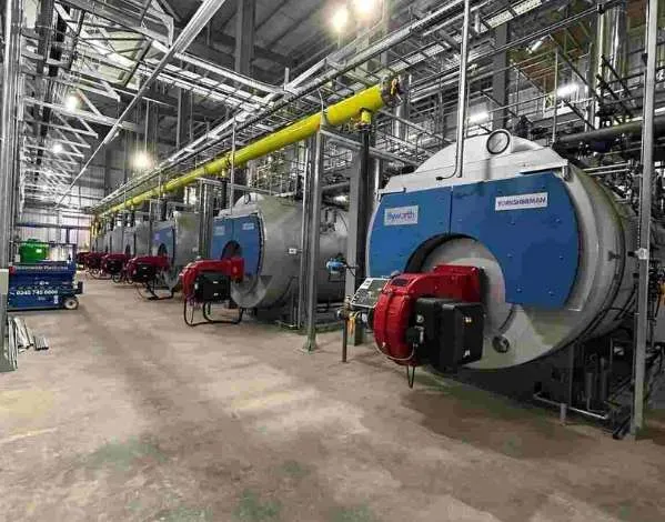 Industrial Boiler Systems